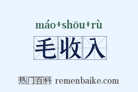 毛收入是什么意思的图片